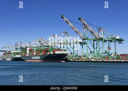 SAN PEDRO, CALIFORNIE - 11 MAI 2022 : navires-conteneurs au port de Los Angeles. Banque D'Images