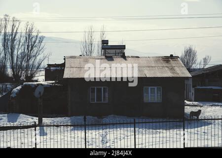 Erzincan, Turquie - 22 février 2022 : photo d'une cabine, de la neige et d'un chien sur la neige. Banque D'Images