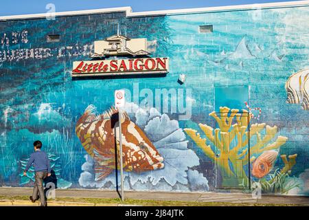 Orlando Floride, East Colonial Drive, Little Saigon, asiatique homme mural bâtiment quartier ethnique Banque D'Images