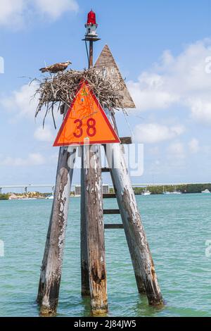 Florida Upper Key Largo Florida Keys,Blackwater Sound Florida Bay,US route 1 Overseas Highway Channel Marker osproie nest Water, Banque D'Images