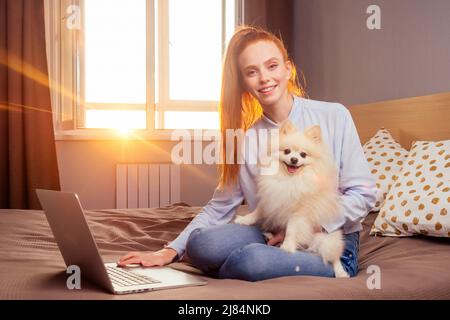 femme au gingembre rougeâté qui utilise un ordinateur portable, spitz moelleux assis sur ses genoux coucher de soleil lumière de fond de fenêtre Banque D'Images