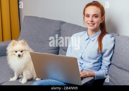 femme au gingembre rougeâté qui utilise un ordinateur portable, spitz moelleux assis sur ses genoux coucher de soleil lumière de fond de fenêtre Banque D'Images