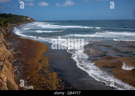 Londonberry Bay, une plage de sable noir, sur la côte est sauvage de la Dominique et où une scène de Pirates des Caraïbes à la fin du monde a été filmée. Banque D'Images