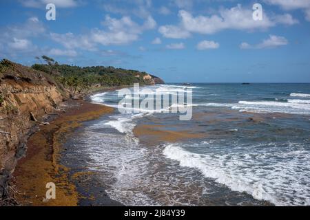 Londonberry Bay, une plage de sable noir, sur la côte est sauvage de la Dominique et où une scène de Pirates des Caraïbes à la fin du monde a été filmée. Banque D'Images