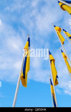 Drapeaux nationaux ukrainiens sur les mâts de drapeaux contre le ciel bleu. Banque D'Images