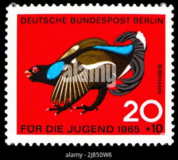 MOSCOU, RUSSIE - 10 AVRIL 2022 : timbre-poste imprimé en Allemagne, Berlin, montre le tétras noir (Lyrurus tetrix), série Jeunesse : oiseaux chassés, vers 196 Banque D'Images