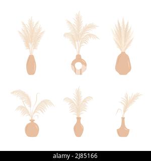 Sécher l'herbe de pampas dans les vases. Ensemble d'arrangements cortaderia dans le style boho. Fleurs séchées vectorielles isolées sur fond blanc. Design tendance pour Illustration de Vecteur