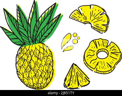 Ensemble d'ananas, éléments de caniche dessinés dans le style d'esquisse. Ananas entier, parties, feuilles, tranches, noyau, gouttes de jus. Collection d'images de fruits. VVecto Illustration de Vecteur