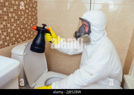 agent de lutte antiparasitaire pulvérisation de pesticides avec un pulvérisateur dans la salle de bains:traitement des toilettes et de la douche Banque D'Images