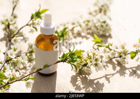 Vue de dessus de la maquette de la bouteille blanche. Petites fleurs blanches. Médicaments ou cosmétiques - crème, gel, soins de la peau, dentifrice. Banque D'Images