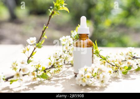 Vue de dessus de la maquette de la bouteille blanche. Petites fleurs blanches. Médicaments ou cosmétiques - crème, gel, soins de la peau, dentifrice. Banque D'Images