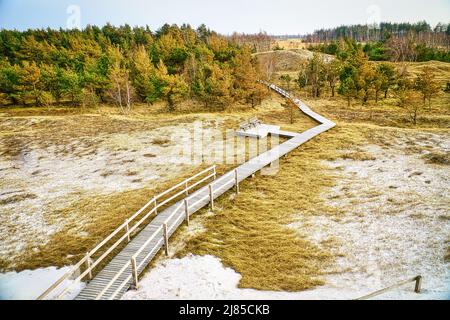 Sentier de randonnée au-dessus d'une passerelle en bois jusqu'à la dune haute sur le darss. Parc national en Allemagne. Photo de la nature Banque D'Images