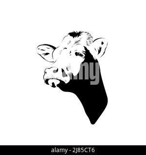 Silhouette de la tête de vache en noir et blanc Illustration de Vecteur