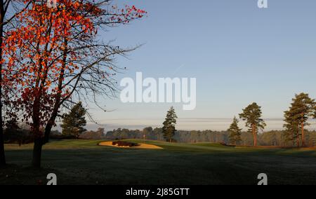 Vue depuis le côté du tee-shirt 1st sur le Red course jusqu'au green sur le Red course 18th avec couleurs d'automne et arbre d'automne à Foreground, le Berkshire G. Banque D'Images