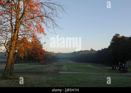 Vue depuis le tee-shirt 1st sur le Red course aux couleurs de l'automne, le Berkshire Golf Club, Ascot, Berkshire, Angleterre Banque D'Images