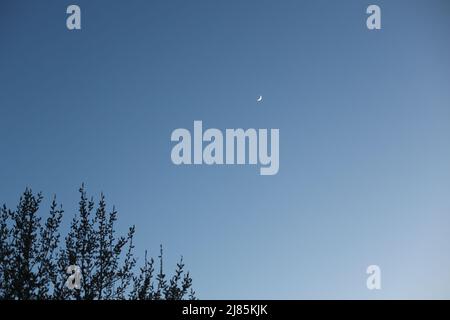 Paysage de nuit. Crescent Moon sur fond bleu foncé ciel de nuit. Banque D'Images