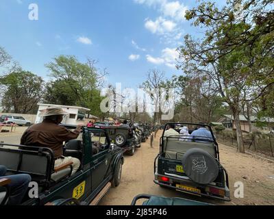 Touristes dans la jungle safari dans la réserve de tigre de Kanha Madhyapradesh centre de l'Inde pendant l'été Banque D'Images