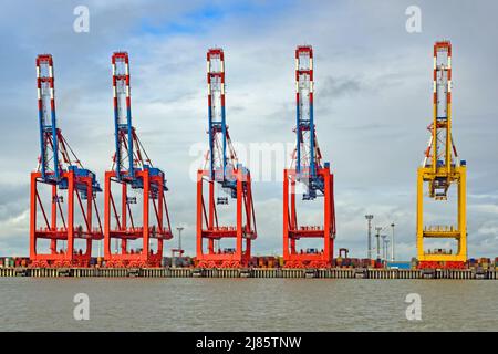 Bremerhaven, Brême, Allemagne - 16 juillet 2017 : grues portiques à conteneurs grues portuaires dans le port de Bremerhaven, Brême Banque D'Images