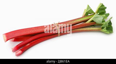 Tige et feuilles de rhubarbe fraîches sur fond blanc Banque D'Images