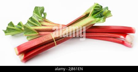 Tige et feuilles de rhubarbe fraîches sur fond blanc Banque D'Images