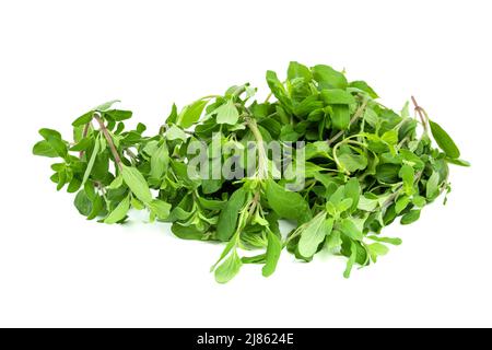 Feuilles de purslane fraîchement cueillies sur un fond blanc isolé Banque D'Images