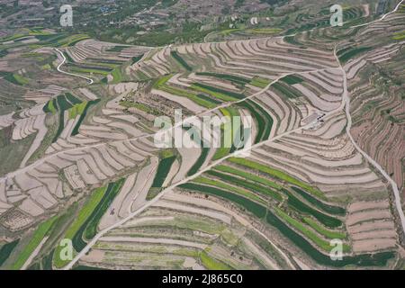 Tianshui. 11th mai 2022. La photo aérienne prise le 11 mai 2022 montre une vue des terres agricoles récupérées dans le district de Qinzhou, à Tianshui, dans la province de Gansu, dans le nord-ouest de la Chine. Ces dernières années, Qinzhou, de Tianshui, a encouragé les entreprises, les coopératives et les fermes familiales à récupérer des terres agricoles abondées. Jusqu'à présent, plus de 73 000 000 mu (environ 4 867 hectares) de terres agricoles abandonnées ont été récupérées à Qinzhou. Credit: Du Zheyu/Xinhua/Alay Live News Banque D'Images