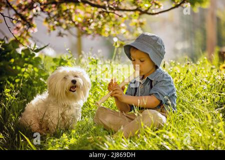 Enfant élégamment habillé, garçon avec chien d'animal, jouant dans le parc sur la flûte, appréciant sa compagnie d'ami d'animal de compagnie Banque D'Images