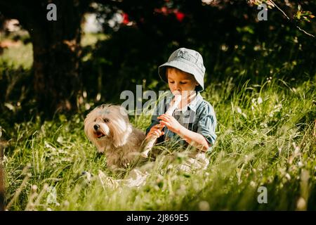 Enfant élégamment habillé, garçon avec chien d'animal, jouant dans le parc sur la flûte, appréciant sa compagnie d'ami d'animal de compagnie Banque D'Images