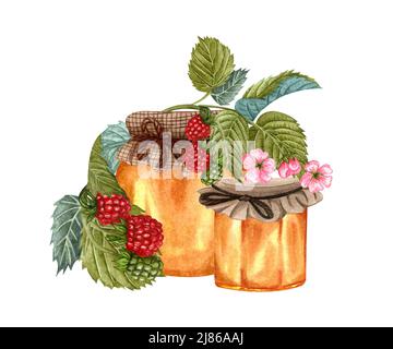 Pot de miel d'aquarelle et brindilles de framboise de forêt fraîche. Illustration d'aliments biologiques dessinés à la main, isolée sur fond blanc. Miel de framboise Banque D'Images