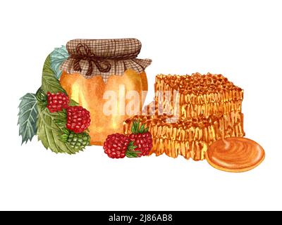 Pot de miel d'aquarelle et baies de framboises de forêt fraîches, nid d'abeille. Illustration d'aliments biologiques dessinés à la main, isolée sur fond blanc. Miel de framboise Banque D'Images