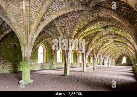 Le cellarium voûté dans l'abbaye de Fountains datant du 12th siècle près de Ripon, dans le North Yorkshire, en Angleterre Banque D'Images