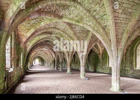 Le cellarium voûté dans l'abbaye de Fountains datant du 12th siècle près de Ripon, dans le North Yorkshire, en Angleterre Banque D'Images