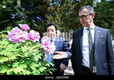 Stuttgart, Allemagne. 13th mai 2022. Bernd Weißbrod/dpa/Alay Live News Banque D'Images
