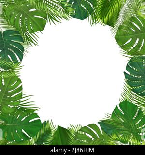 Arrière-plan tropical d'été avec feuilles de palmier vertes. Conception botanique exotique avec plantes de jungle pour invitation, bannière, affiche. Illustration vectorielle Illustration de Vecteur