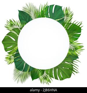 Arrière-plan tropical d'été avec feuilles de palmier vertes. Conception botanique exotique avec plantes de jungle pour invitation, bannière, affiche. Illustration vectorielle Illustration de Vecteur