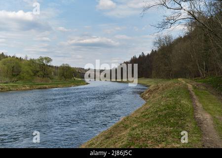 La rive de la rivière Moskva dans la campagne de la région de Moscou à la fin du printemps. L'herbe verte et la forêt et une rivière calme coule par le chemin. Banque D'Images