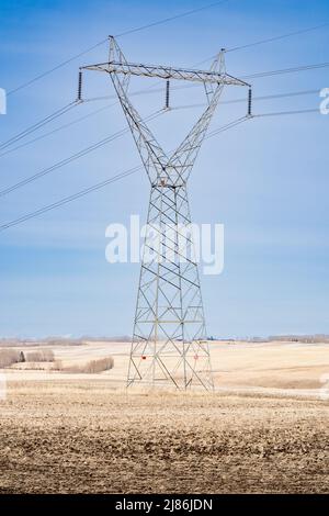 Une grande tour de service électrique en métal se tenant debout sur un champ récolté dans les Prairies de l'Alberta au Canada. Banque D'Images