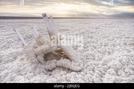 Petite chaise en plastique entièrement recouverte de sel cristallin sur le rivage de la mer morte, détail de gros plan Banque D'Images