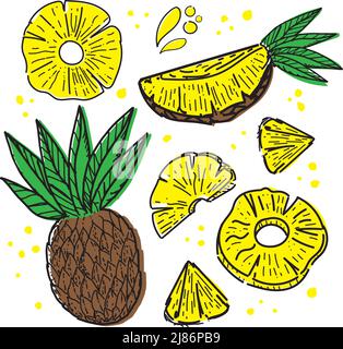 Ensemble d'ananas, éléments de caniche dessinés dans le style d'esquisse. Ananas entier, parties, feuilles, tranches, noyau, gouttes de jus. Collection d'images de fruits. VVecto Illustration de Vecteur