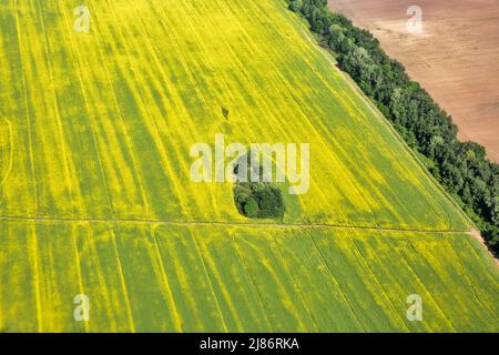 Vue aérienne sur le champ agricole dans le centre de l'Ukraine. Banque D'Images