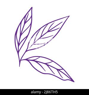 Feuille de Lemon contour de l'arbre isolé sur fond blanc Illustration de Vecteur