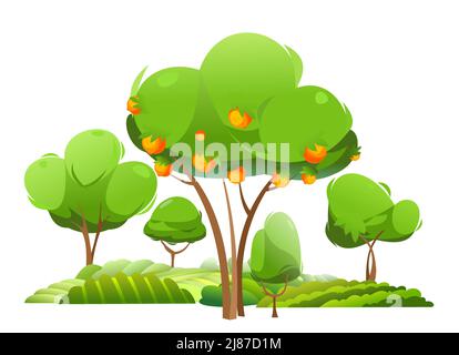 Jardin aux agrumes. Récolter le citron et le pamplemousse. Oranges et mandarines mûres. Collines de jardin rurales. Style de dessin animé paysage. Isolé sur bac blanc Illustration de Vecteur