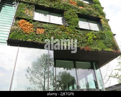 Conformément au thème de Floriade Expo 2022 « la croissance des villes vertes », le bâtiment AERES Hogeschool est couvert de murs verts avec une végétation luxuriante. Banque D'Images