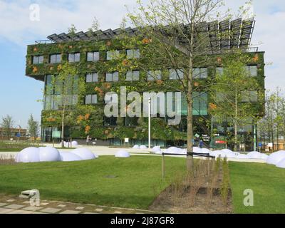 Conformément au thème de Floriade Expo 2022 « la croissance des villes vertes », le bâtiment AERES Hogeschool est couvert de murs verts avec une végétation luxuriante. Banque D'Images