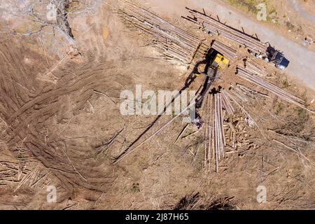 Vue aérienne de la nouvelle construction du plase sur l'arbre de la grue de retrait opérateur chargement des grumes sur le camion Banque D'Images