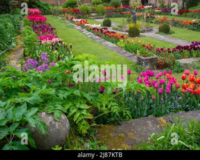 Chenies Manor Garden. Coin du jardin plein de variétés de tulipes colorées, étang ornemental et végétation verte luxuriante dans le jardin en contrebas Banque D'Images