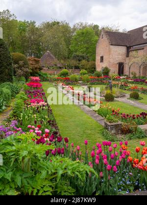 Chenies Manor Garden. Le jardin en contrebas exposition de tulipes avec la maison de puits et la galerie Pavilion.ampoules de printemps orange, rouge, rose, mauve, violet. Banque D'Images