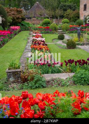 Chenies Manor Garden. Le jardin en contrebas exposition de tulipes avec la maison de puits et la galerie Pavilion.ampoules de printemps orange, rouge, rose, mauve, violet. Banque D'Images