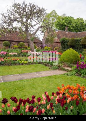 Chenies Manor Garden.vue portrait du magnifique jardin en contrebas avec de nombreuses variétés de tulipes. Banque D'Images