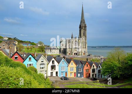 Rangées de maisons colorées avec des immenses la cathédrale saint Colman en arrière-plan dans la ville portuaire de Cobh, dans le comté de Cork, Irlande Banque D'Images